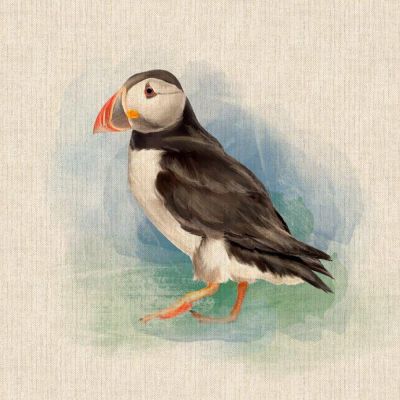 Puffin Panel