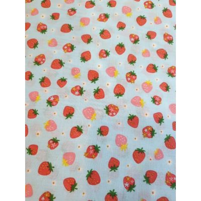Polycotton, Pale Blue with Strawberry