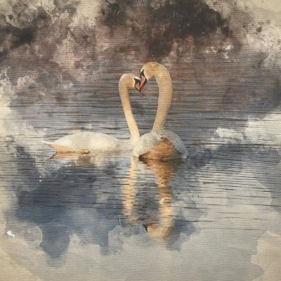 Swan Canvas Art Panel
