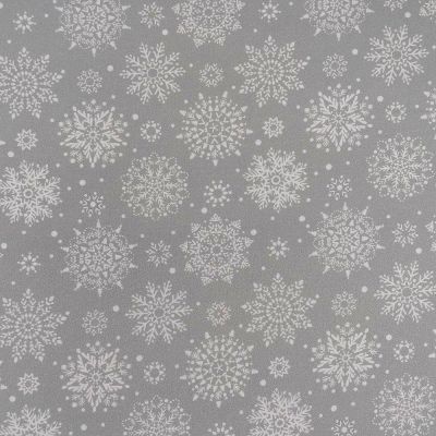 Winter Snowflake Silver