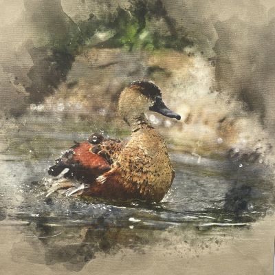 Duckling Canvas Art Panel