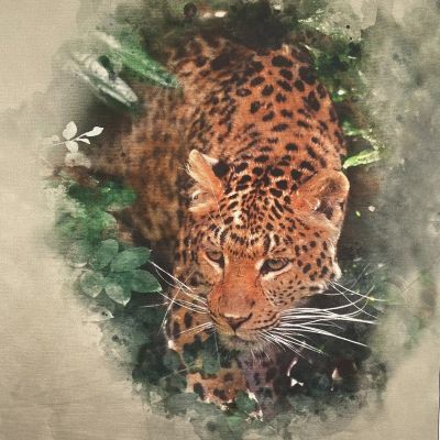 Leopard Canvas Art Panel