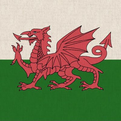 Welsh Dragon Panel