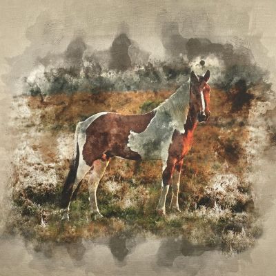 Wild Horse Canvas Art Panel