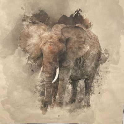 Elephant Canvas Art Panel