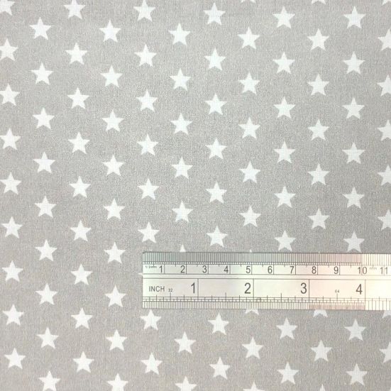 Small Star Silver