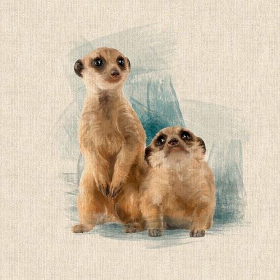 Meerkat Panel