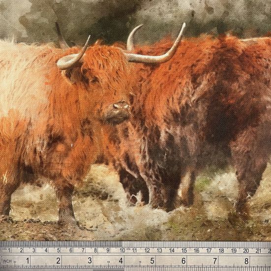 Highland Cattle Canvas Art Panel