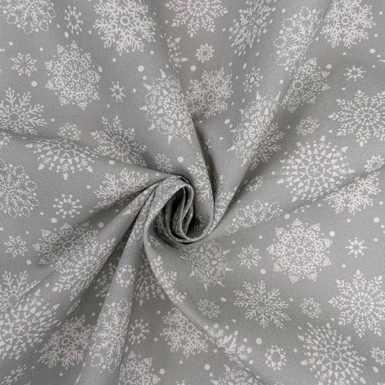 Winter Snowflake Silver