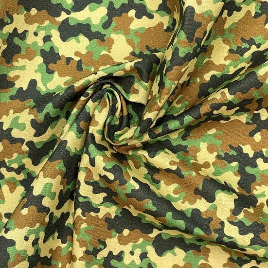 Camouflage 1