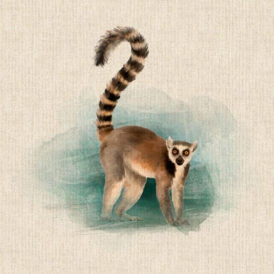 Lemur Panel