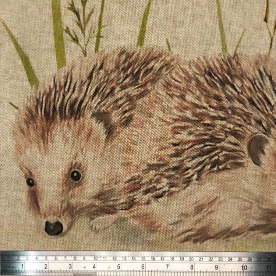 Hedgehog Panel