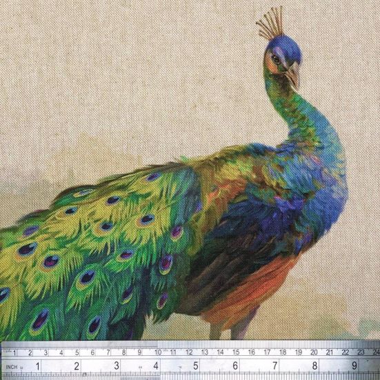 Peacock Panel