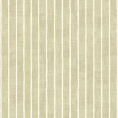 Pencil Stripe Willow