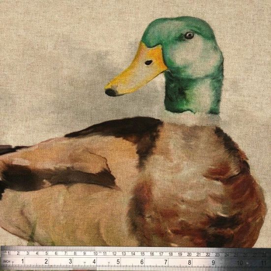 Mallard Duck Panel