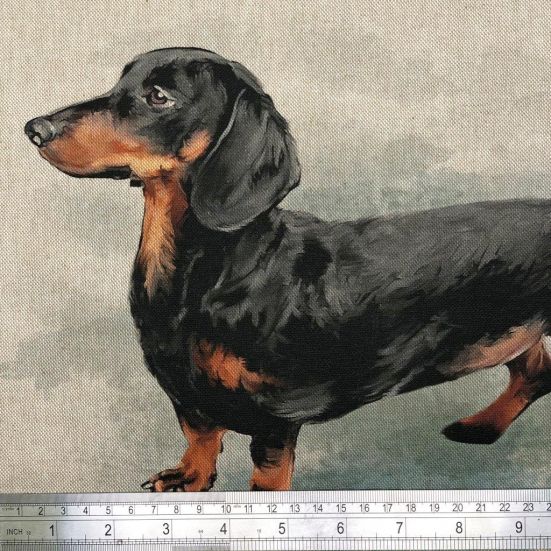 Dachshund Panel