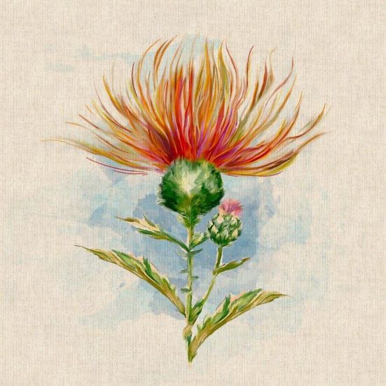 Highland Thistle Panel