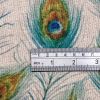 Peacock Feathers