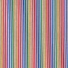 Rainbow Stripe